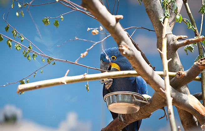 在线DDOS平台攻击