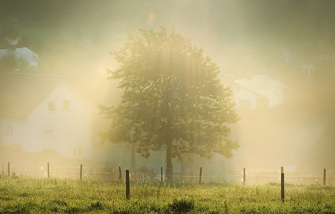 ddos攻击防御手段