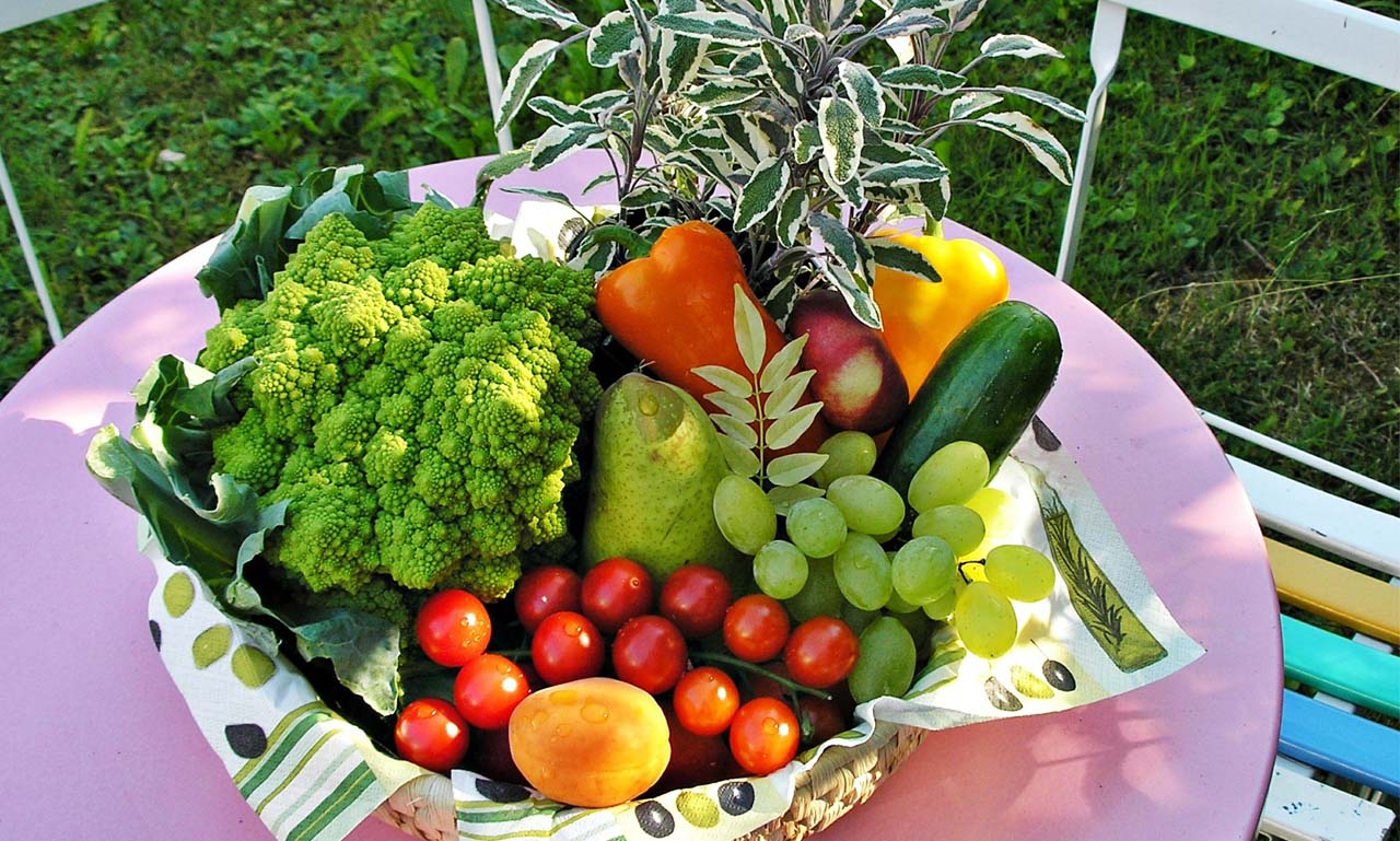 服务器攻击软件