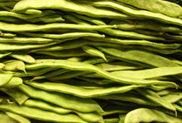 手机攻击器APP下载