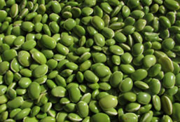 哪买最省钱的免费ddos防火墙