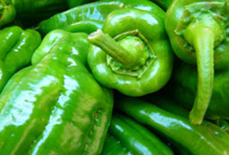 帮您抓住机遇的ddos工具下载