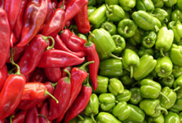 【下载地址分享】高速稳定的ddos工具下载